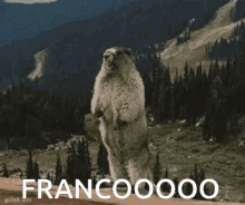 Franco Ddlj Franco GIF - Franco Ddlj Franco Starstrails GIFs