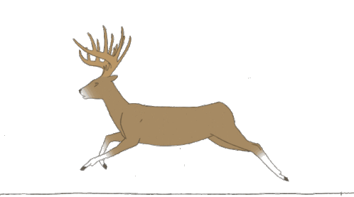 Deer Sticker - Deer Stickers
