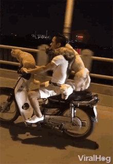 Driving Scooter GIF