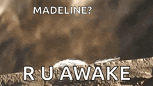 a picture of a feather with the words madeline ? ru awake written on it