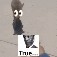 a person holding a cat with googly eyes and a picture of a man with the word true on it