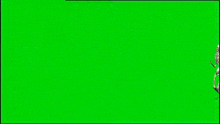 a skeleton is standing on a green screen .