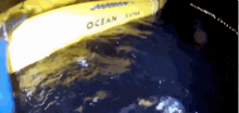 Seal Passenger GIF - Seal Passenger Boat GIFs
