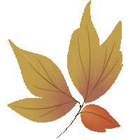 a drawing of a leaf with a brown center on a white background