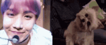 a man with purple hair is smiling next to a small dog .