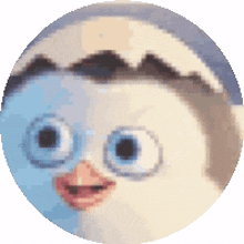 penguin hello hi heythere cutie penguin hello hi heythere cutie