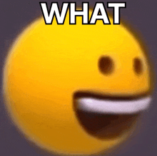 a yellow smiley face with the word what written on it