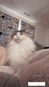a cat is laying on a bed with a pink blanket in front of a window