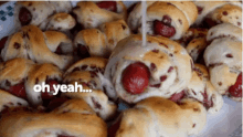 Pigs In A Blanket Yum GIF