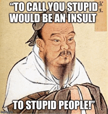 You Are An Idiot Eres Un Idiota GIF - You Are An Idiot Eres Un Idiota  Idiota - Discover & Share GIFs