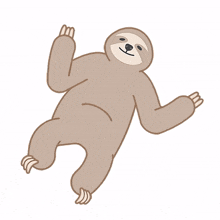 sloth animal cute dance happy