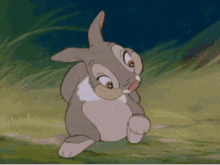 Bunny Cute GIF - Bunny Cute GIFs