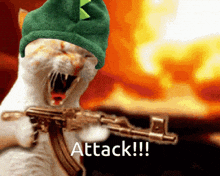 Attack Cat Shooting Ak GIF - Attack Cat Shooting Ak Dinocat GIFs