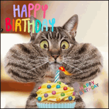happy birthday cat cupcake