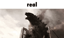 Real Godzilla GIF - Real Godzilla Godzilla 2014 GIFs