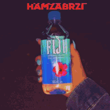 Hamzabrzi Fiji GIF - Hamzabrzi Fiji GIFs