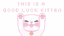 Cats This Is A Good Luck Kitten GIF