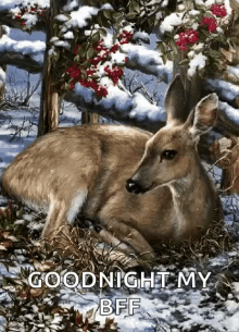 Deer Goodnight GIF - Deer Goodnight Goodnight My Bff GIFs