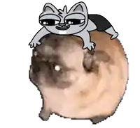 a cartoon cat is laying on top of a dog 's head .