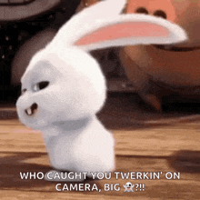 a snowball from the secret life of pets says who caught you twerking on camera big !!!