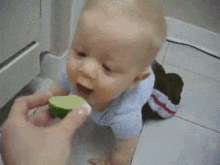 Baby'S First Lime GIF - Lime Baby Baby Lime GIFs