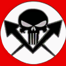 a black skull with two crossed arrows behind it