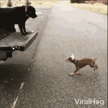 Almost Not Quite GIF - Almost Not Quite Fail GIFs
