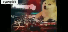 Doge Dogecoin GIF - Doge Dogecoin Doge Dance GIFs