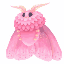 pink moth cute