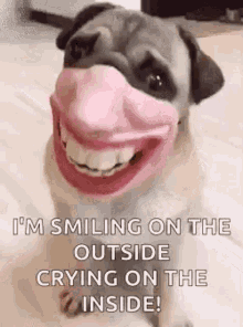 Pug Dog GIF - Pug Dog Funny Mask GIFs