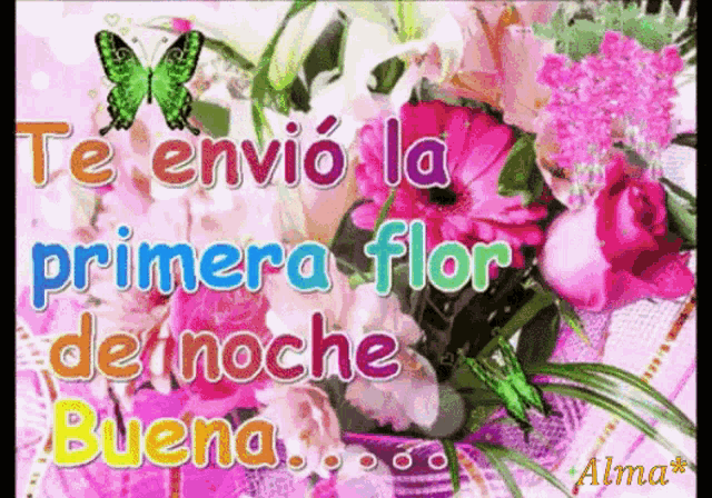 Primera Flor De Noche Buena GIF - Primera Flor De Noche Buena - Discover &  Share GIFs
