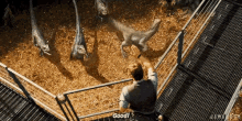 Loyal Raptors - Loyal GIF - Jurrasic World Chris Pratt Velociraptors GIFs