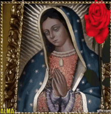 Madre Guadalupe GIF - Madre Guadalupe Bendiceme GIFs