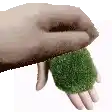 a hand is holding a small green ball in its palm .