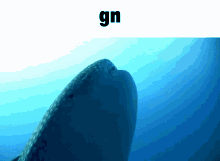 Whale Shark Good Night GIF - Whale Shark Good Night Gn GIFs