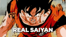 Real Saiyan San GIF - Real Saiyan San Goku GIFs