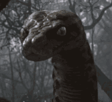 I Know What You Are Snake GIF