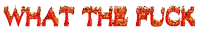 the word what the fuck is written in red flames