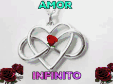 amor infinito heart infinite infinite love rose