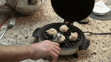 Waffle Cookies GIF