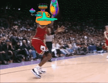 Bizarre Platypus Platy GIF