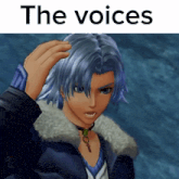 a picture of a video game character with the words the voices above it