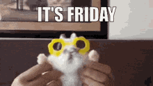 a person is holding a kitten wearing sunglasses and the words `` it 's friday '' above it .