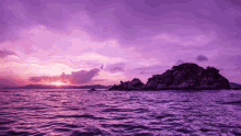 purple sunset nature