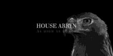 Arryn GIF - Arryn GIFs