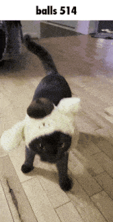 a cat wearing a pompompurin hat stands on a wood floor