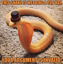 a snake wearing a top hat is sitting on a rug .