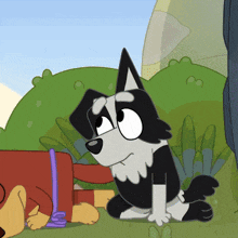 a black and white dog is sitting next to another dog
