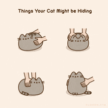 a cartoon of a cat with things your cat might be hiding