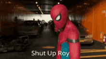 Real Spidey6 GIF - Real Spidey6 GIFs